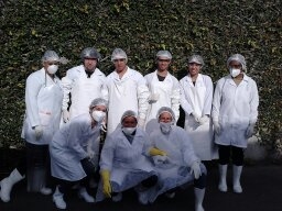Curso de Tanatopraxia