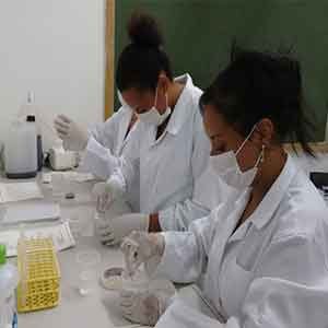Curso de Necropsia